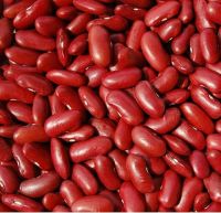 Kidney Red Beans, Kidney White Beans