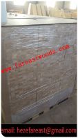 Door core used Paulownia finger jointed board / paulownia jointed board for door core