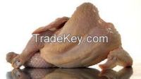 Processed frozen whole chicken feet and paws CLEAN CHEAP