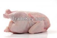 Halal Frozen Whole Chicken Grade A