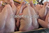 Halal Frozen Whole Chicken 'A' Grade.