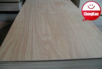Good quality Kauri plywood/overlaid plywood/decorative plywood/furniture plywood at competitive price