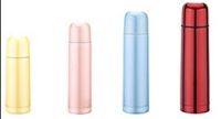 Sell vacuum flask with spray-painted