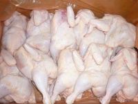 Halal Frozen Chicken Pieces