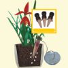 Sell automatic plant waterer