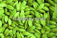 Fresh Green Cardamom