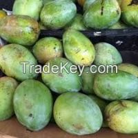 Farm Fresh Sweet Mango for sale