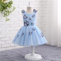 Girl Party Dresses Elegant Children Dress Girls Clothes In Stock   Wholesale Prices Customise Order Accept