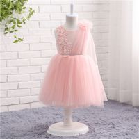 Girl Party Dresses Elegant Children Dress Girls Clothes In Stock   Wholesale Prices Customise Order Accept