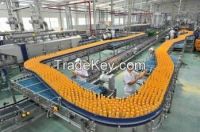 Juice Processing Plant/Juice Machine