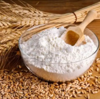 Russian Wheat / Wheat flour