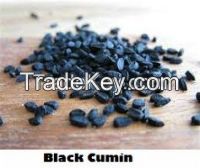 Selling Best Natural Black Cumin Seeds