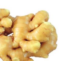 Fresh Ginger from Thailand