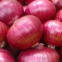 Fresh Yellow and Red Onion