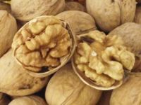 Quality Walnut and Walnut Kernel