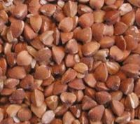 Buckwheat Grain Best Quality