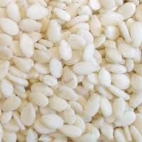 White Sesame Seeds