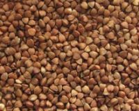 Raw and Roasted Buckwheat