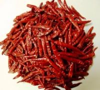 INDIAN QUALITY BEST SPICY RED CHILI POWDER