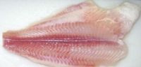 Red Meat Frozen Tilapia Fillet At Wholesale Price