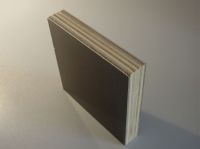 Sell construction plywood with black or brown film