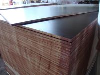 High Quality Film Face Plywood on sale