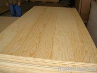 Pine Plywood /good quality&good price