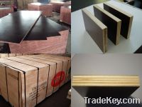 High quanlity film faced plywood  with good price