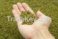 Tanzania Green Mung Beans