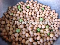 High  Quality  Pigeon  Peas