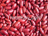 Kidney Beans, Chickpeas, Lentils, Vigna Beans, Soybeans, Peas, Broad Beans, Mung Beans, Black Beans