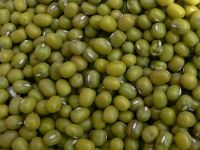 Green Mung Beans