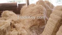 Sisal Fiber UG Grade Kenya Origin