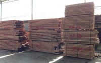 Merpauh Sawn Timber