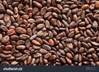 SELL Grade A High Quality Raw Cocoa Beans