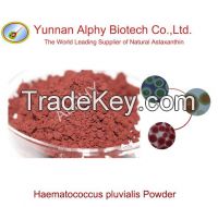 2.5% natural astaxanthin biomass, 100% Haematococcus pluvialis powder,