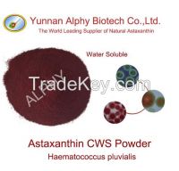 Natural astaxanthin CWS powder