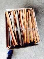 Split Cassia (Cinnamon) from Vietnam