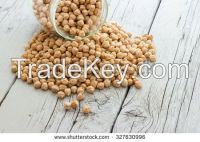 CHICK PEAS, CHICKPEAS