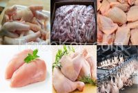 Export of Frozen Poultry Brazil ( All Chicken Parts )