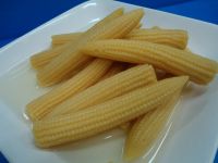 CANNED BABY CORN IN BRINE (Angela - WhatsApp: +84 165 582 7745)