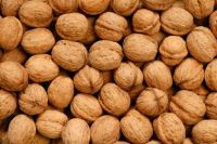 Quality Walnuts in shell