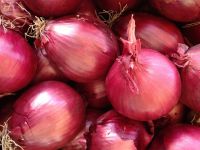 50mm Red Onion