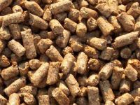 Wheat Bran Pellets for Animal Feeding