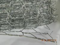 chicken wire mesh & hexagonal chicken wire mesh