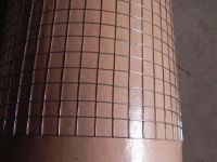 electro & hot dipped & pvc coated galvanized welded wire mesh