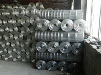 galvanized welded wire mesh China supplier