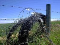 barbed wire fence