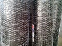 chicken wire mesh / hexagonal wire netting
