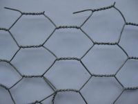 anping hexagonal mesh china supplier